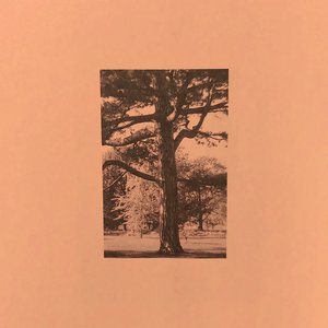 图片区小说区自拍亚洲
